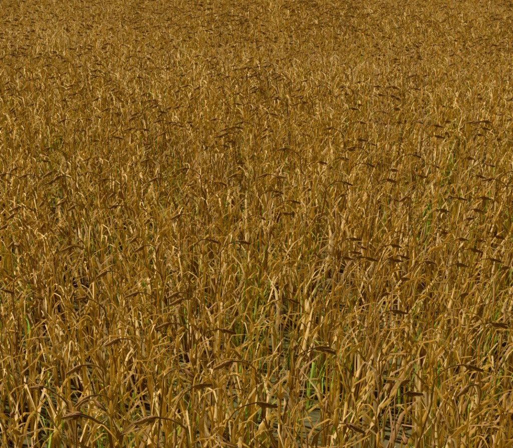 Wheat pack preview image 2